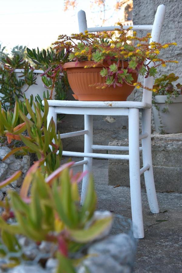 Greenvine Apartment Ζαντάρ Εξωτερικό φωτογραφία