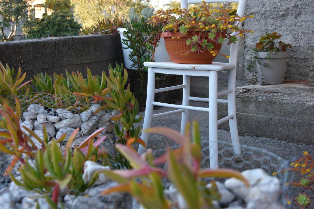 Greenvine Apartment Ζαντάρ Εξωτερικό φωτογραφία