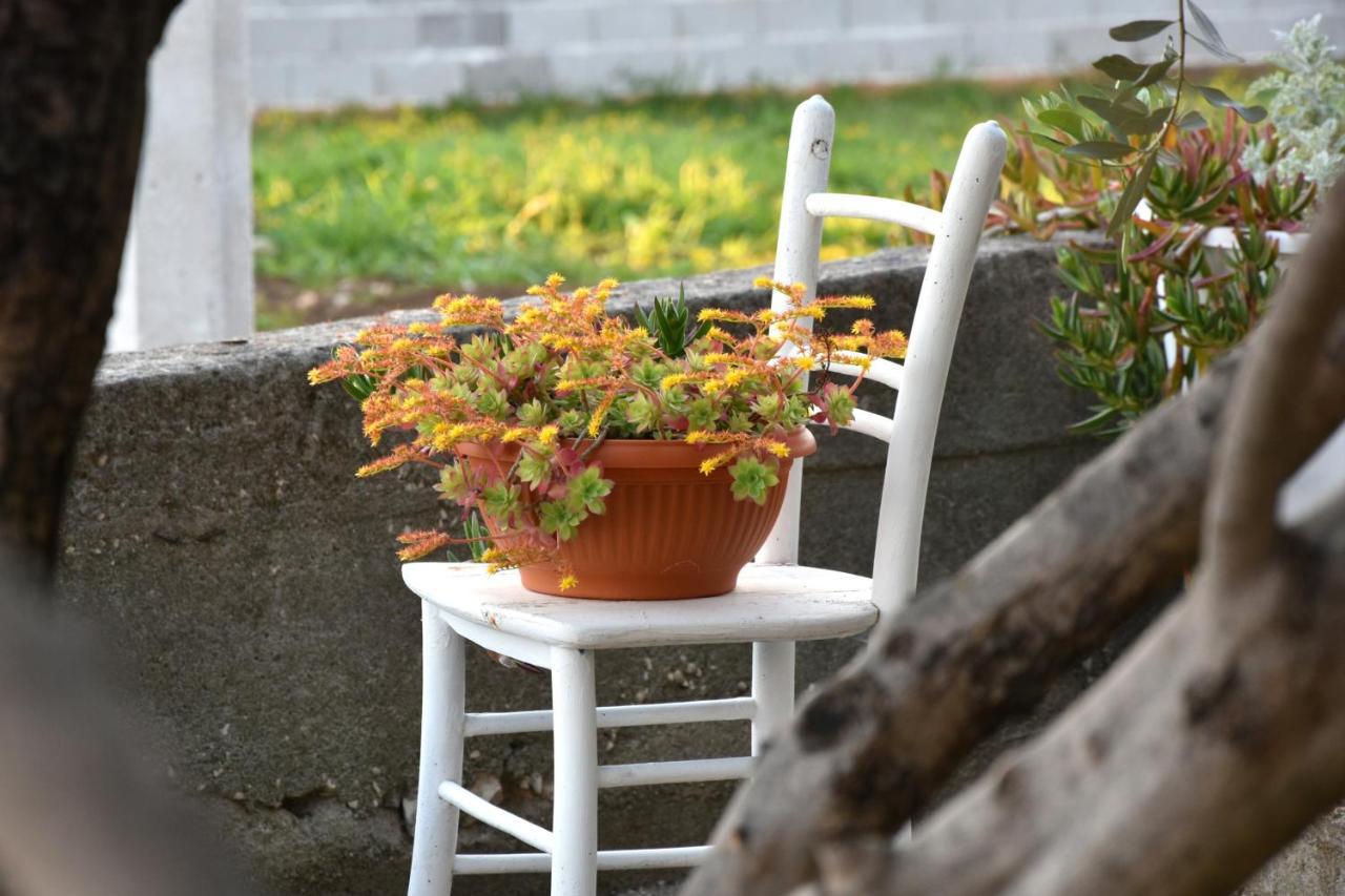 Greenvine Apartment Ζαντάρ Εξωτερικό φωτογραφία